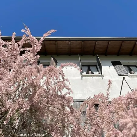 Apartamento Terrazza Sul Ameno