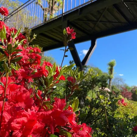 Terrazza Sul *