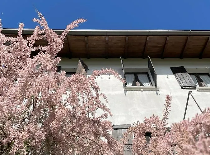Appartamento Terrazza Sul Ameno