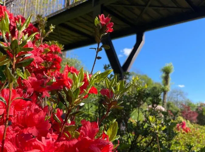 Terrazza Sul *